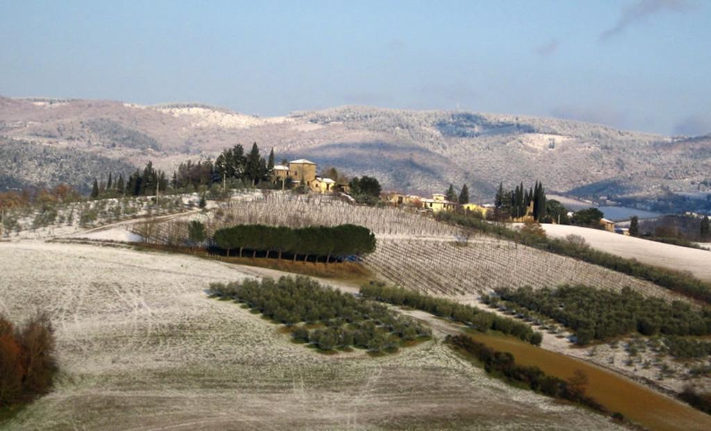 Osteria Carnivora Guest House Gaiole in Chianti Buitenkant foto